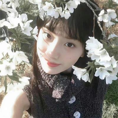 石纪元第二季